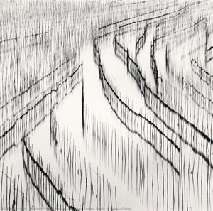 Seaweed Farms, Study 3, Xiapu, China — Mikael Frensis Ken