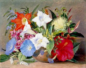 Group Of Flowers, Wild And Cultivated, In Jamaica — Marianne North