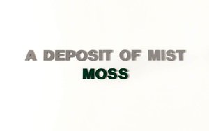 Six Landscapes (moss) (right Section) — Donald Urquhart