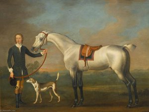 A gray hunter held by a groom