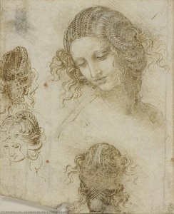La Testa Di Leda — Leonardo Da Vinci
