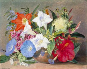 Group Of Flowers, Wild And Cultivated, In Jamaica — Marianne North