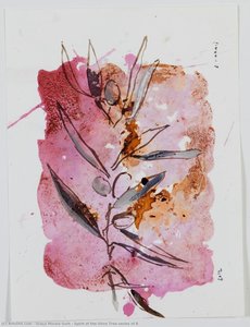 Spirit Of The Olive Tree Series Of 8 — Graça Morais Goih