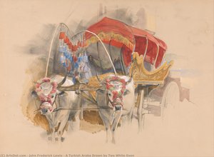 A Turkish Araba Drawn by Two White Oxen