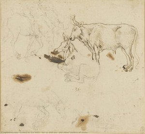 An ox and ass, and other studies of asses