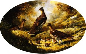 Grouse Family — Arthur Fitzwilliam Tait