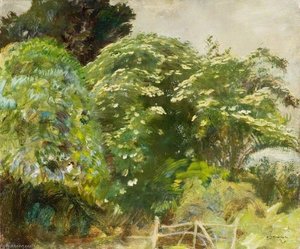 Elder Blossom — Sir Alfred James Munnings