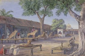 'Street of Hunting Cheetahs and Lynx. Ulwar. India 1878'