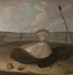 Turbot, Lobster And Sea Shells, In The Thames Estuary ( ) — Arthur William Devis