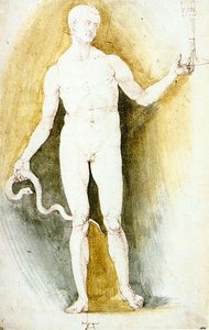 Male Nude With A Glass And Snake, So-called Asclepius — Albrecht Dürer