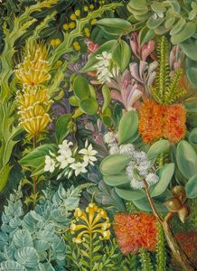 Untitled — Marianne North
