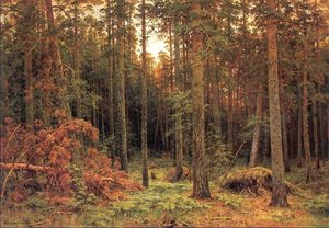 Bosco Di Pini — Ivan Ivanovich Shishkin