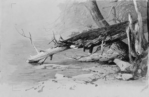 Moss-covered Log — Herman Herzog