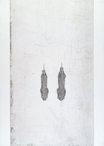 Untitled from White Mammals (2)