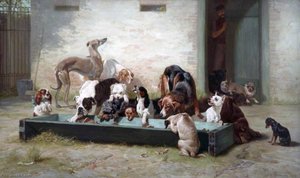 Table d'Hote at a Dogs' Home