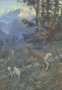 Deer In Forest — Charles Marion Russell