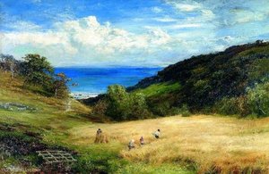A highland harvest