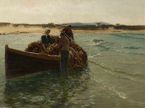 Unloading Kelp Weed