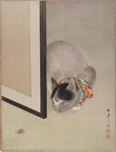 oide tōkō