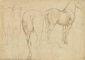 Hobuse Uuringud — Leonardo Da Vinci