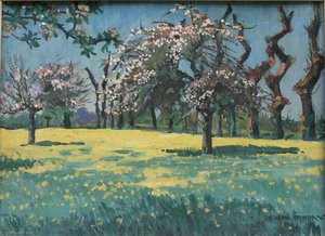 Pommiers En Fleur Dans Un Champ De Colza — Yvonne Jean Haffen