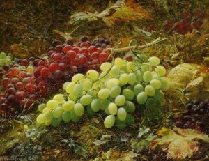 william jabez muckley