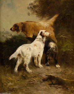 Chiens De Chasse