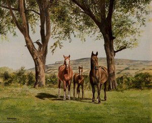 Mare And Foals — John Andrew Lawson