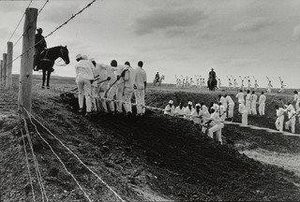 Ferguson Prison Farm, Texas — Danny Lyon