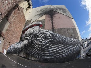 Whale — Roa