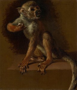 A Seated Monkey, Jan Weenix, Before 1685 — Jan Weenix
