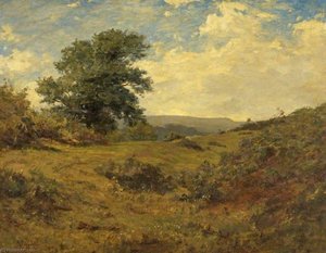 Landscape