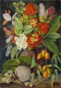 Fiori E Frutti Della Nuova Zelanda — Marianne North