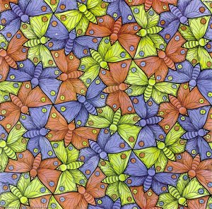 Žluták 70 Motýl — Maurits Cornelis Escher