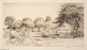 The Orchard