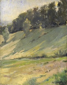 View From Llandrindod Wells The Upper Link — Sarah Paxton Ball Dodson