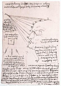 Study of the effect of light on a profile head (facsimile)