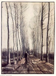 Fenyőfaok — Vincent Willem Van Gogh