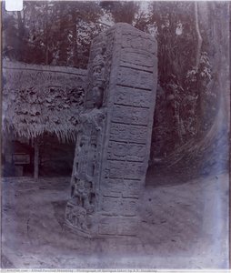 Photograph Of Quiriguá Taken By A.p. Maudslay — Alfred Percival Maudslay