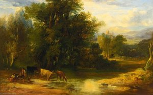 Wooded Landscape