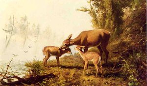 Deer In The Woods — Arthur Fitzwilliam Tait