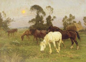Horses In A Pasture At Dawn