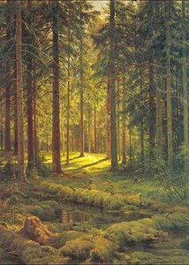 Foresta Di Conifere. Giornata Di Sole — Ivan Ivanovich Shishkin