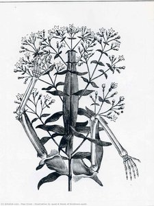 Illustration to 