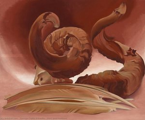 Horn And Feathers — Georgia O'keeffe
