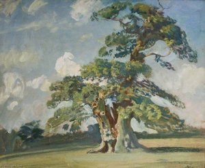 Die alte Eiche, Mistley Park
