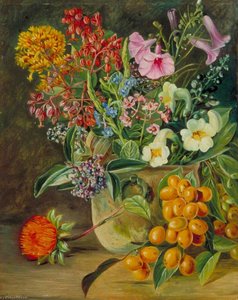 Untitled — Marianne North