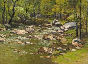Wight Brook, Newry, Maine