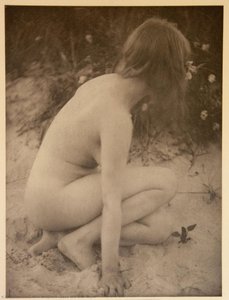 Sand and Wild Roses