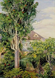 Der Garten von King's House, Spanish Town, Jamaika